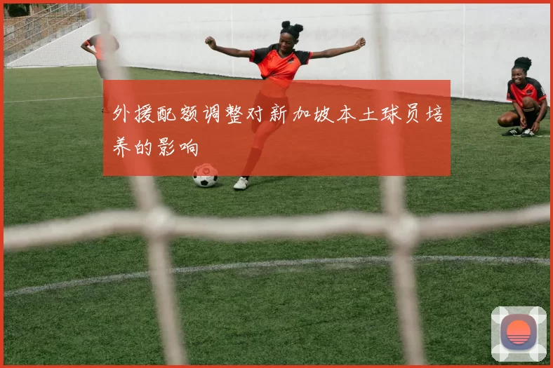 外援配额调整对新加坡本土球员培养的影响