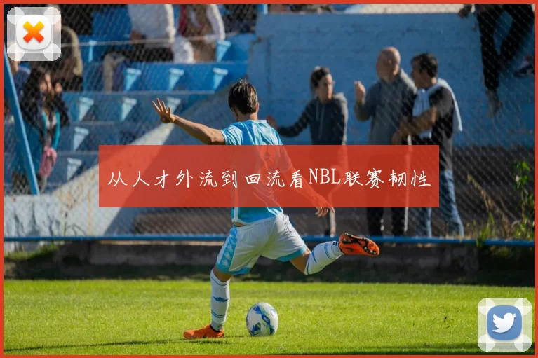 从人才外流到回流看NBL联赛韧性